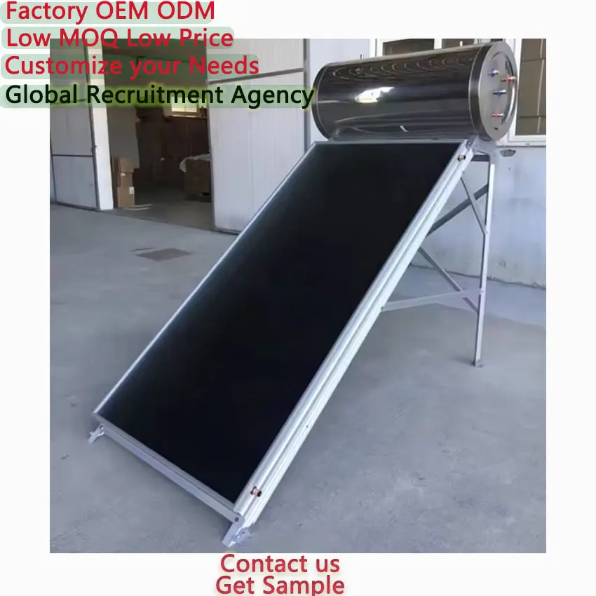 Wholesale ODM OEM China Supplier Custom 100L 200L 500L Cheap Pressurized Plate System Evacuated Tube Solar Water Heater