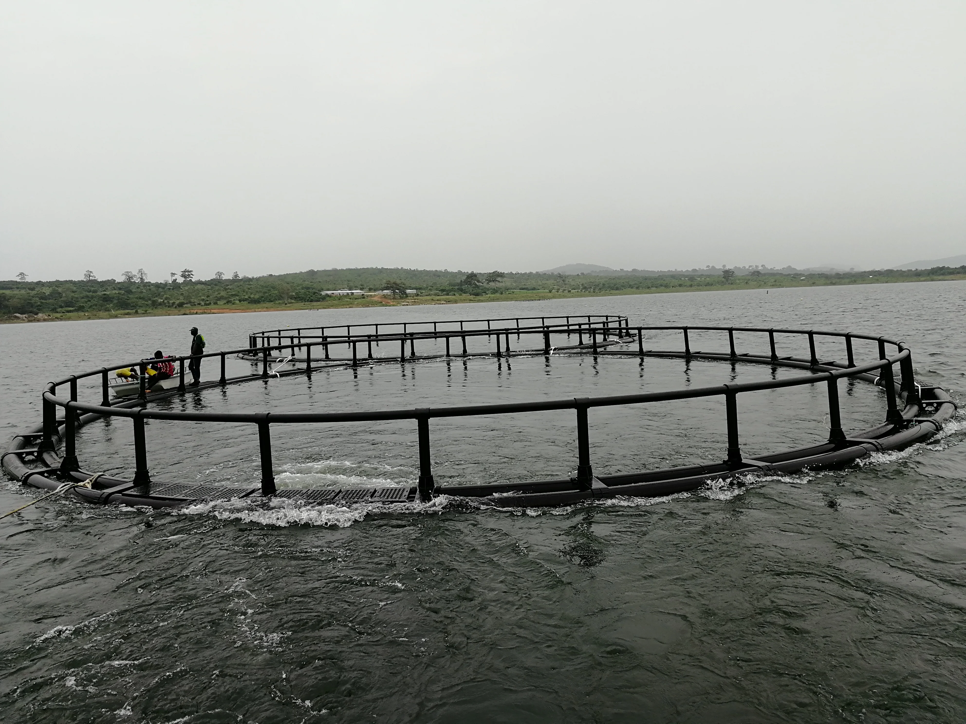 Round Cage in Deep Sea for Salmon Fish Farm