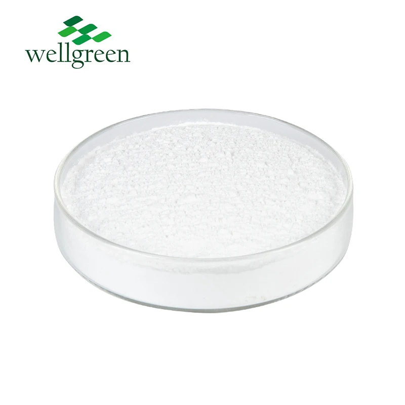 Wellgreen Best Price Glucosamin Sodium Powder Sulfat Salt Suppliers Chondroitine Chondroitin Sulfate