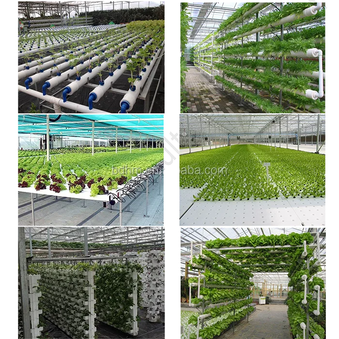 Aquaponic Farm вертикальные системы гидропоники теплица для теплиц с гидропонной системой