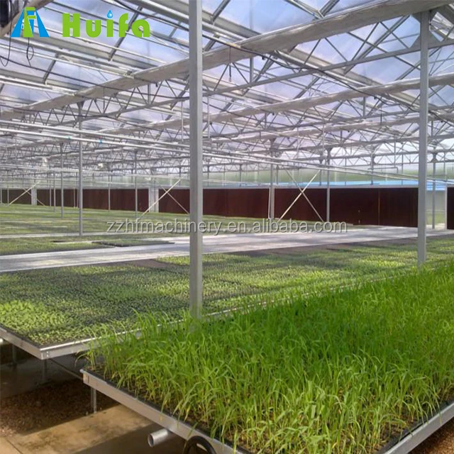 Easy To Install Greenhouse Polycarbonate Green House Pc Board Agriculture Greenhouses Low Cost Tunnel Greenhouse