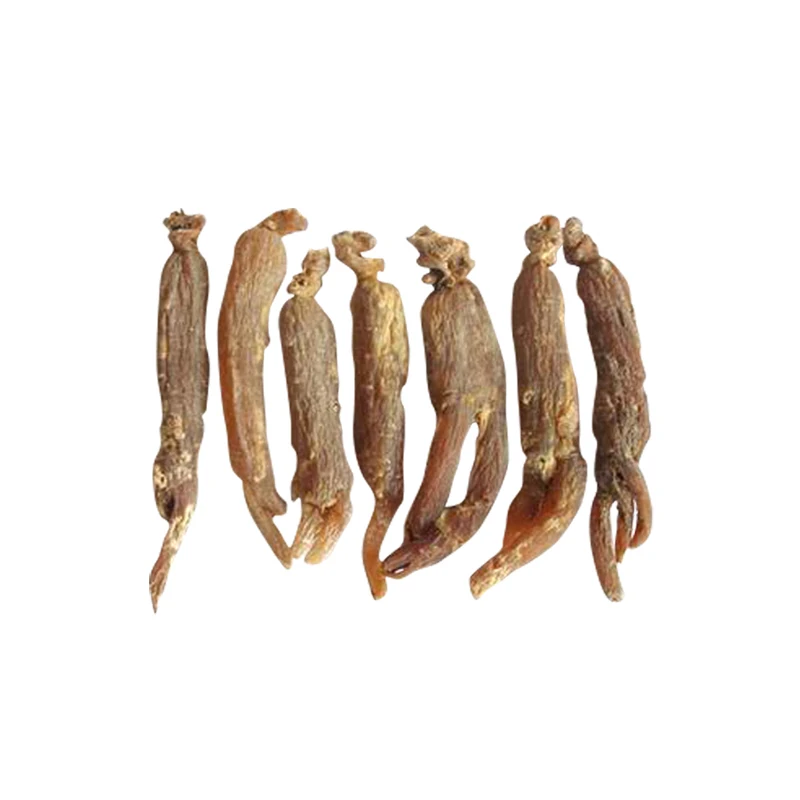 
Korean RED GINSENG Root WITH TAILS 