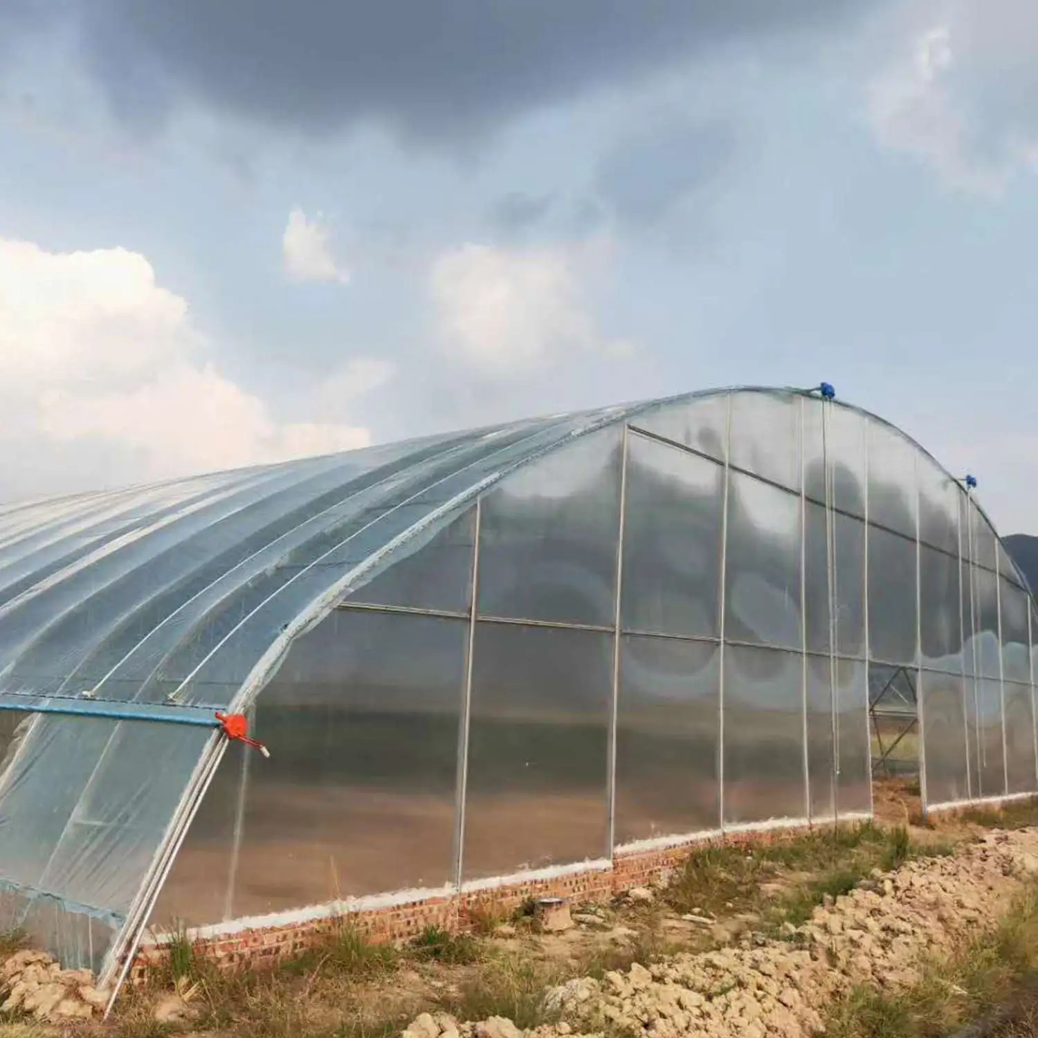 Pop-up Single Wide Span Greenhouse Domestic Hot Sale Tunnel Greenhouse Clear Plastic Greenhouse