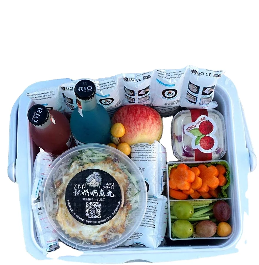 Food Grade Ice Pack Shipping Cold Pack  Flexible Ice Pack Sheets For Coolers Dry Long Lasting Freezer Ice Packs