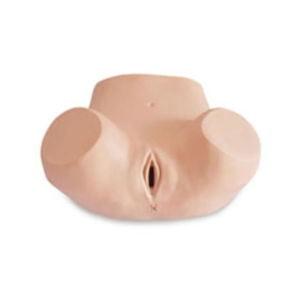 GP6655 Puncture of Posterior Fornix of Vagina Model