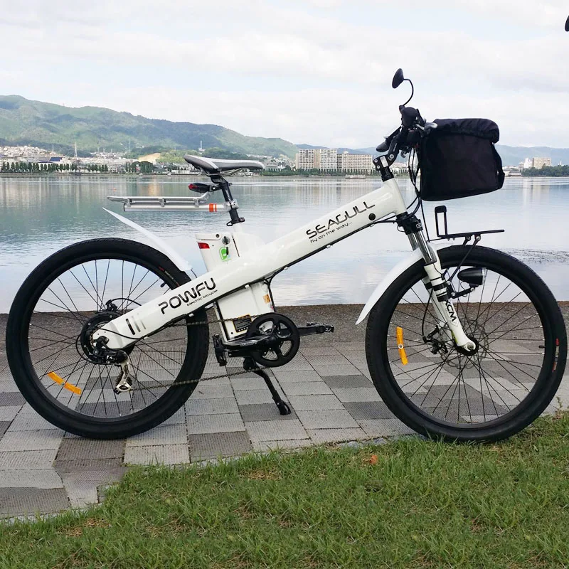 Overseas warehouse stock Seagull 2024 popular 750W sport ebike with pedal Assist system