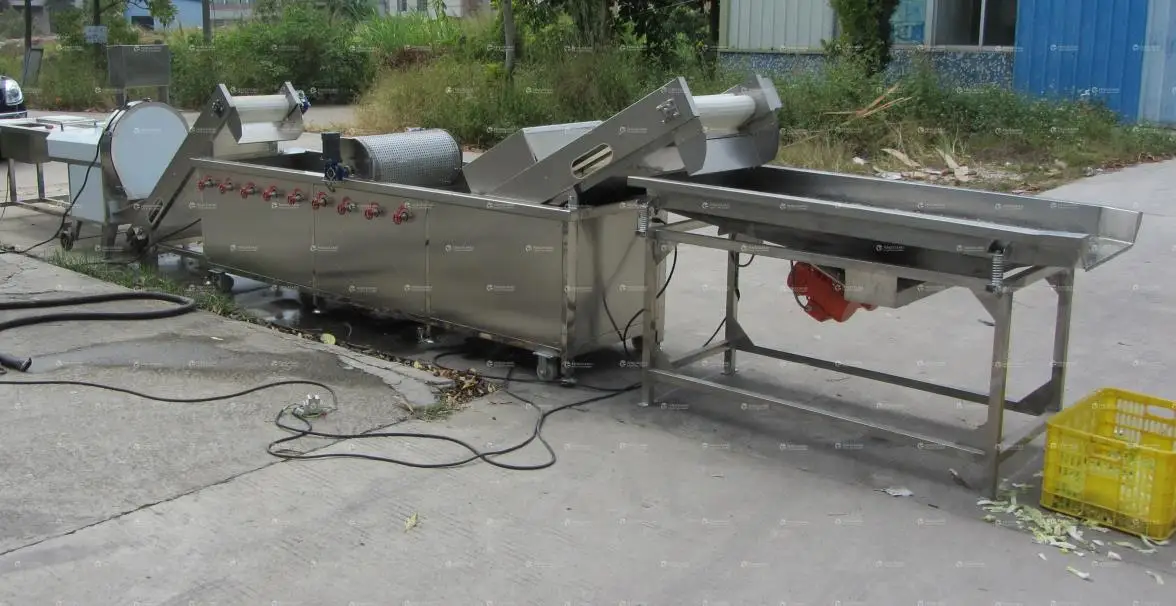 Salad Vegetable Production System Industrial Vegetable Washing Cutting Drying Processing Line