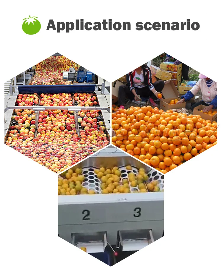 Industrial orange lemon tomato sorting machine agricultural automatic feed sorting machine citrus fruit sorting machine