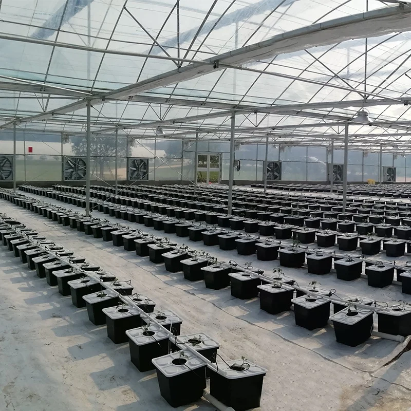 Agriculture Dwc Hydroponic Growing Systems  Deep Water Culture Bucket Hydroponic Bucket