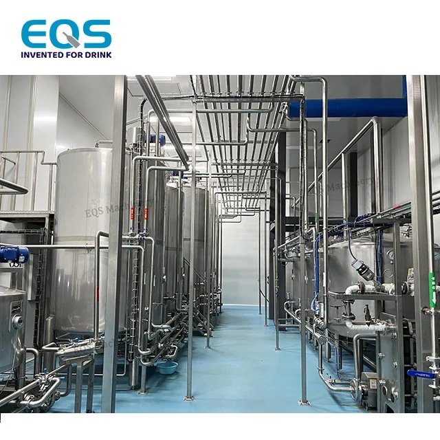 Beverage Production Line Pretreatment RO Water System Treatment Machinery System Plant