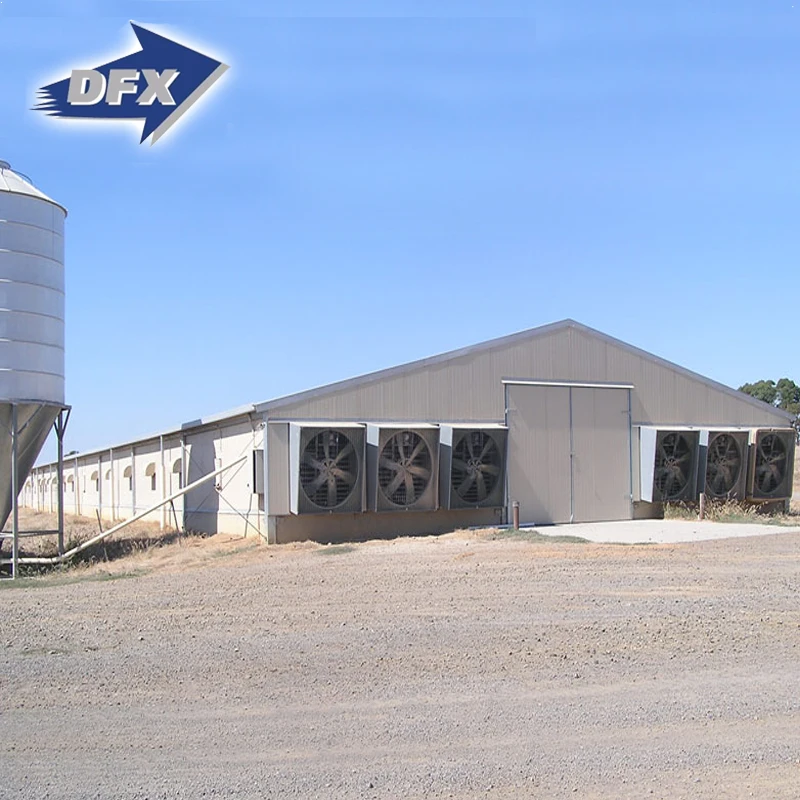 Prefabricated steel structure broiler chicken farm shed house for sale in Philippines