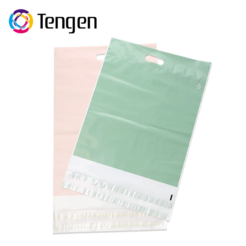 Eco-friendly Biodegradable Waterproof Self Adhesive Plastic Packaging Bag Polymailer