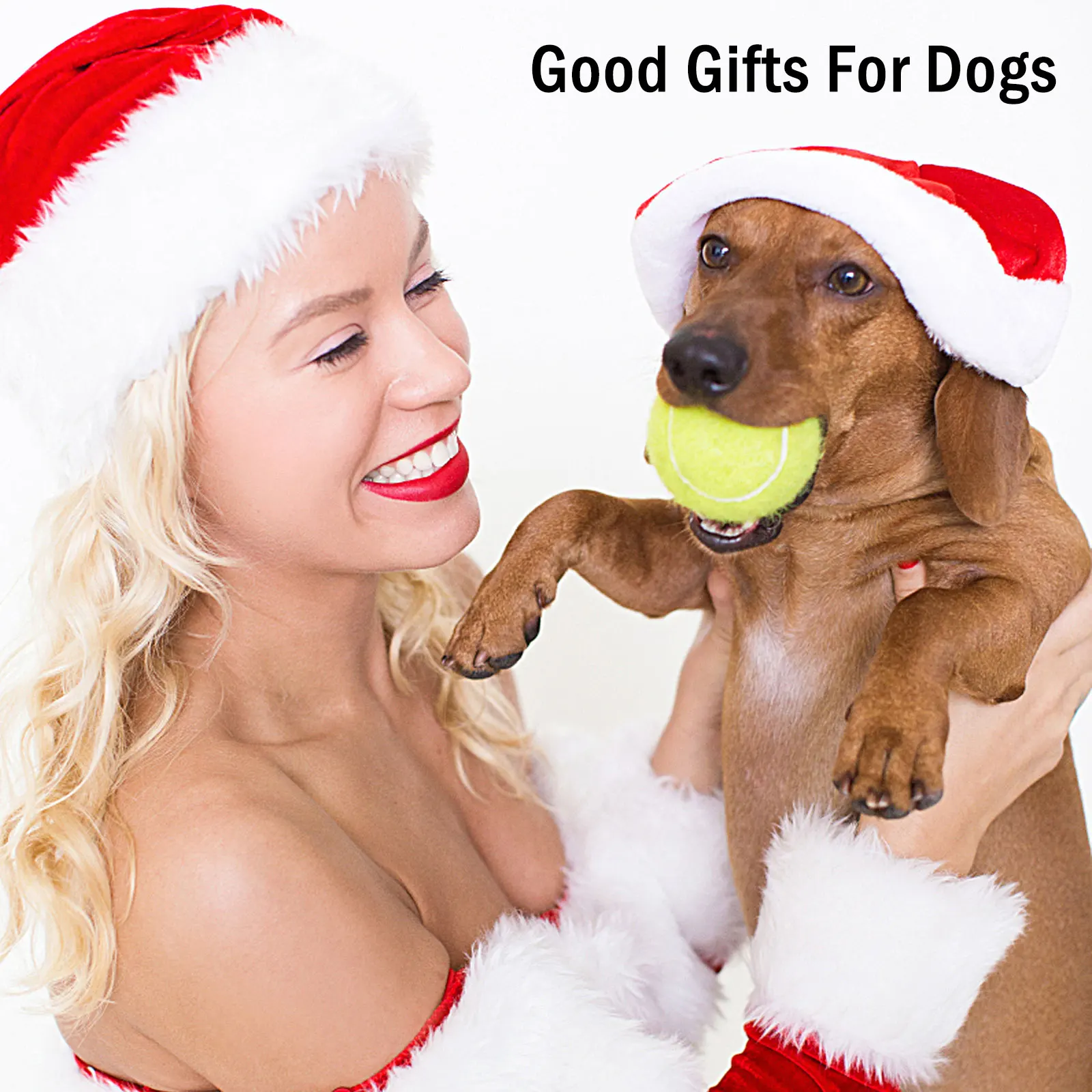 2022 Wholesale Tennis Ball Launcher for Dogs Include Multiple Grip and Rubber String