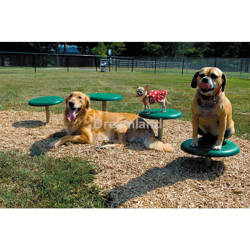 Dog Agility Training Set Fun Dog Pet toy outdoor training equipment Dog training obstacles