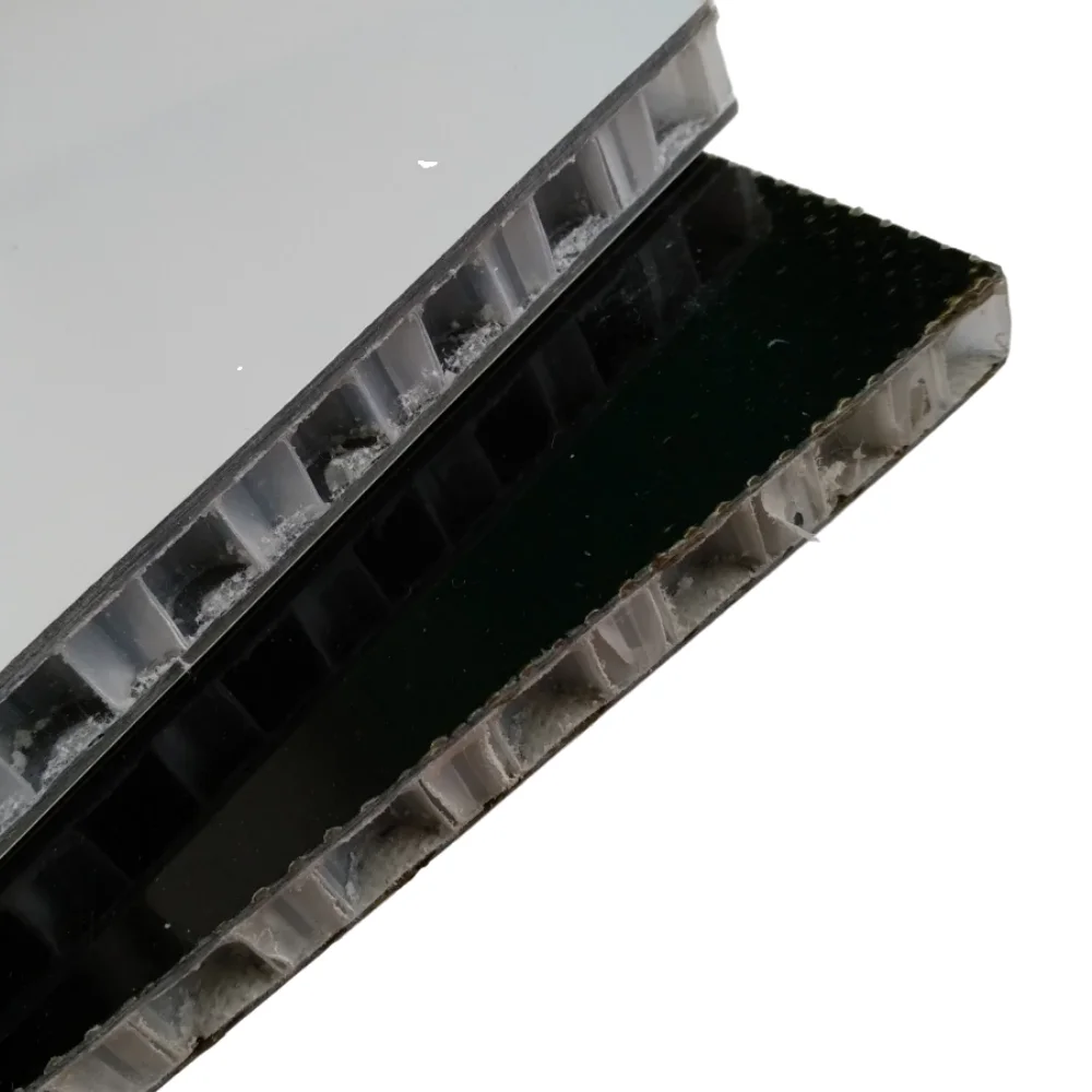 China CFRT Manufacturer Glass Fiber Surface Pp Honeycomb Sandwich Panel For Rv