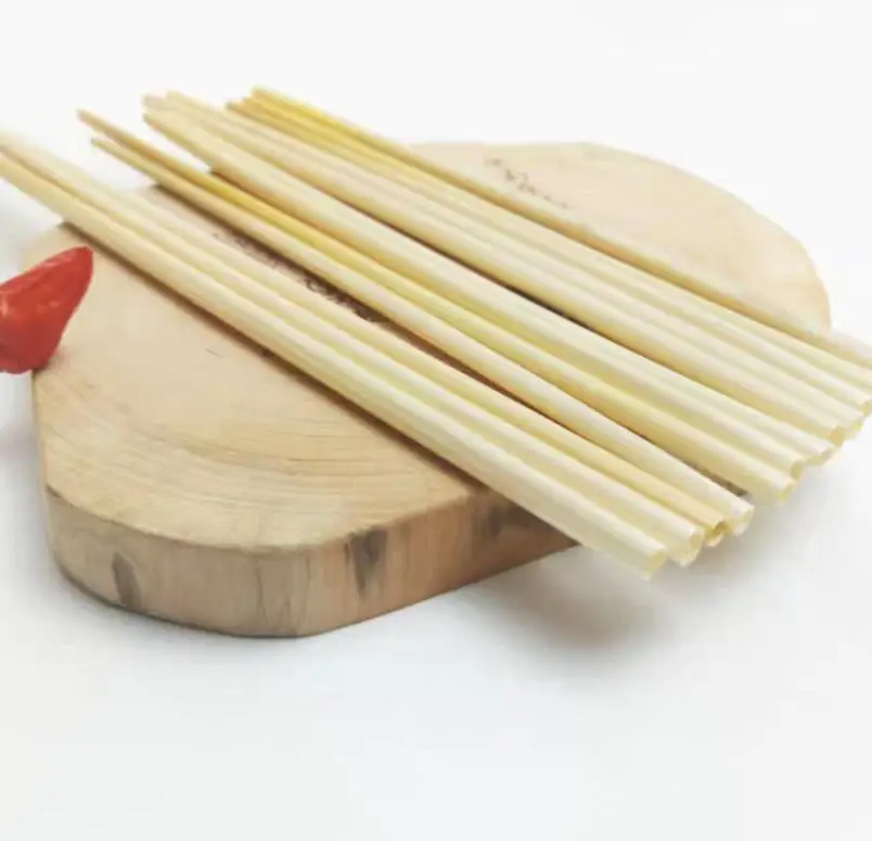 
ECO friendly agave drinking straw 100% natural biodegradable disposable wheat straw 