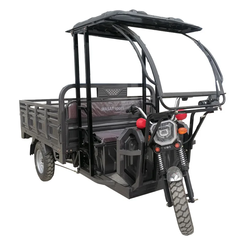 Precio Adult With Roof 3 Wheel Cargo 2 Adults For Hilly Ground Electric Cargo Tricycle