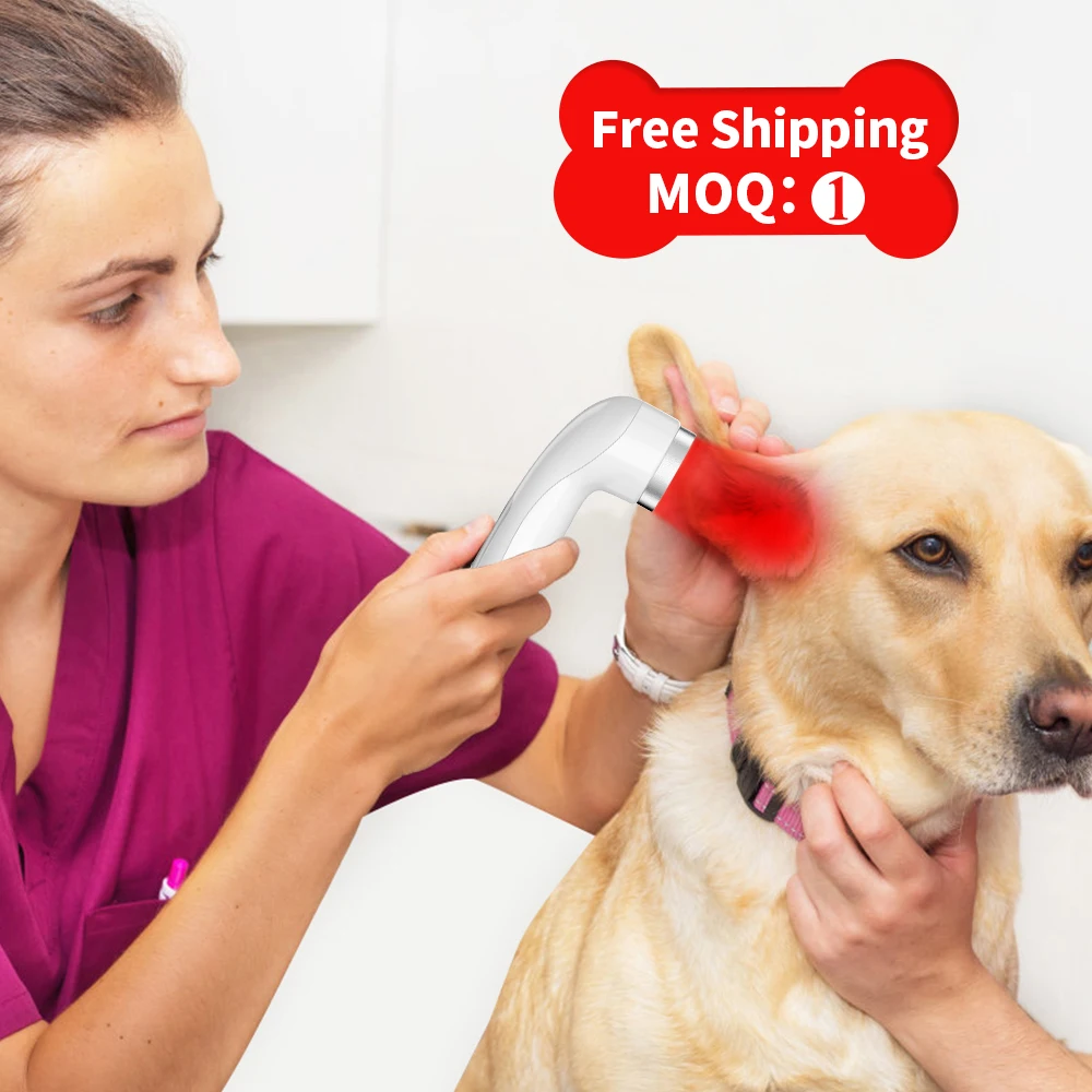 lllt cold laser 650nm 808nm portable laser therapy device class iv pain 2300mw therapy laser for horses dogs human