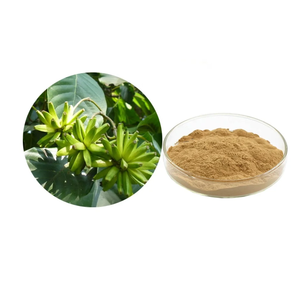 Экстракт Camptotheca acuminata 10:1 20:1 P E