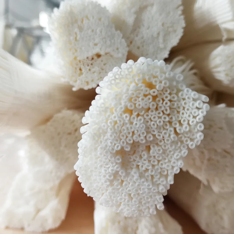 PVDF Hollow Fiber Membrane for Waste Treatment Plant