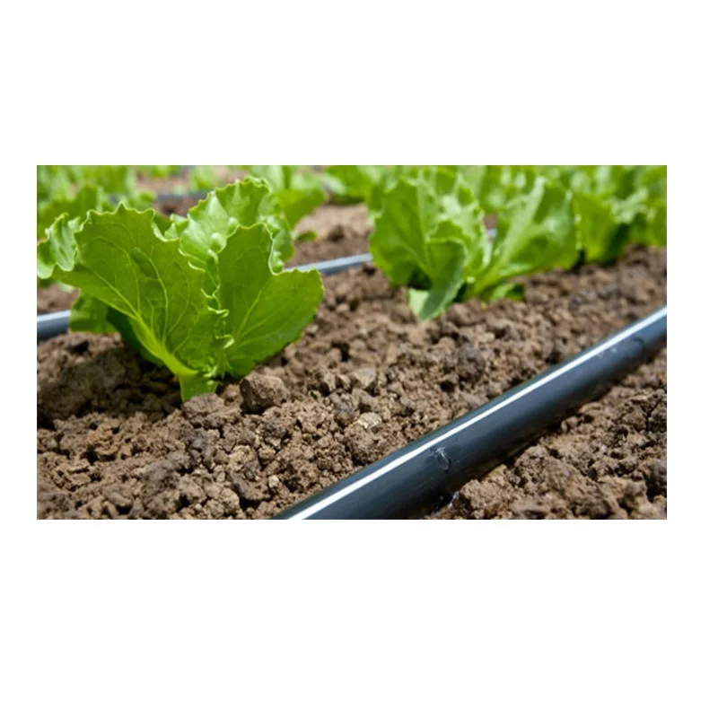 top ldpe Drip Irrig Lay Flat Pipe for maize