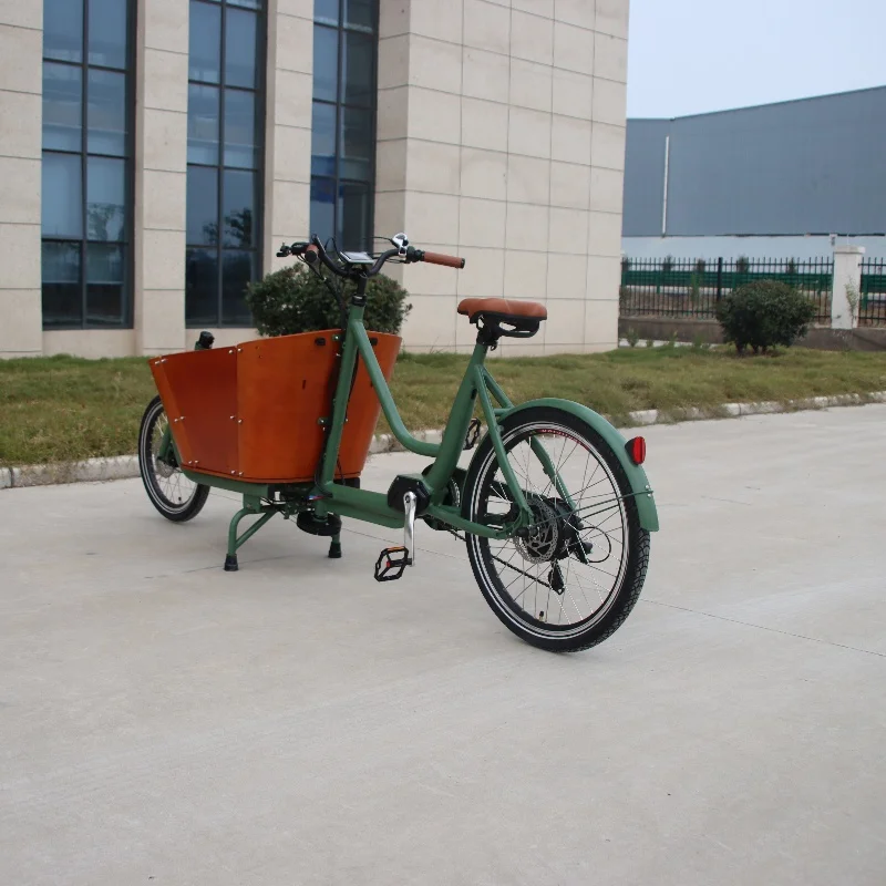 Electric Cargo Bikes 2 wheels cargo bike electric ebike e-cargo family e bicycle Cargo Bafang M600 M620  Motor