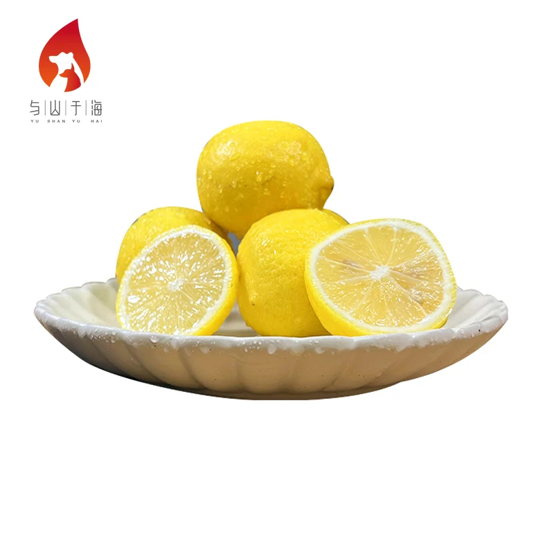 Health Sour And Cool Fresh Yellow Lemons Fruit Fresh Lemon For Sale