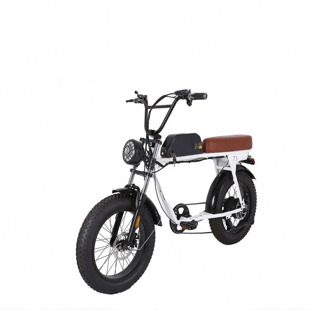 73 Dirt Motorcycle 750w 20' Fat Tyre Electric Bicycle Vintage Sur Ron Ebike Electric Hybrid Bikes for Men 2023 Road E-bikes