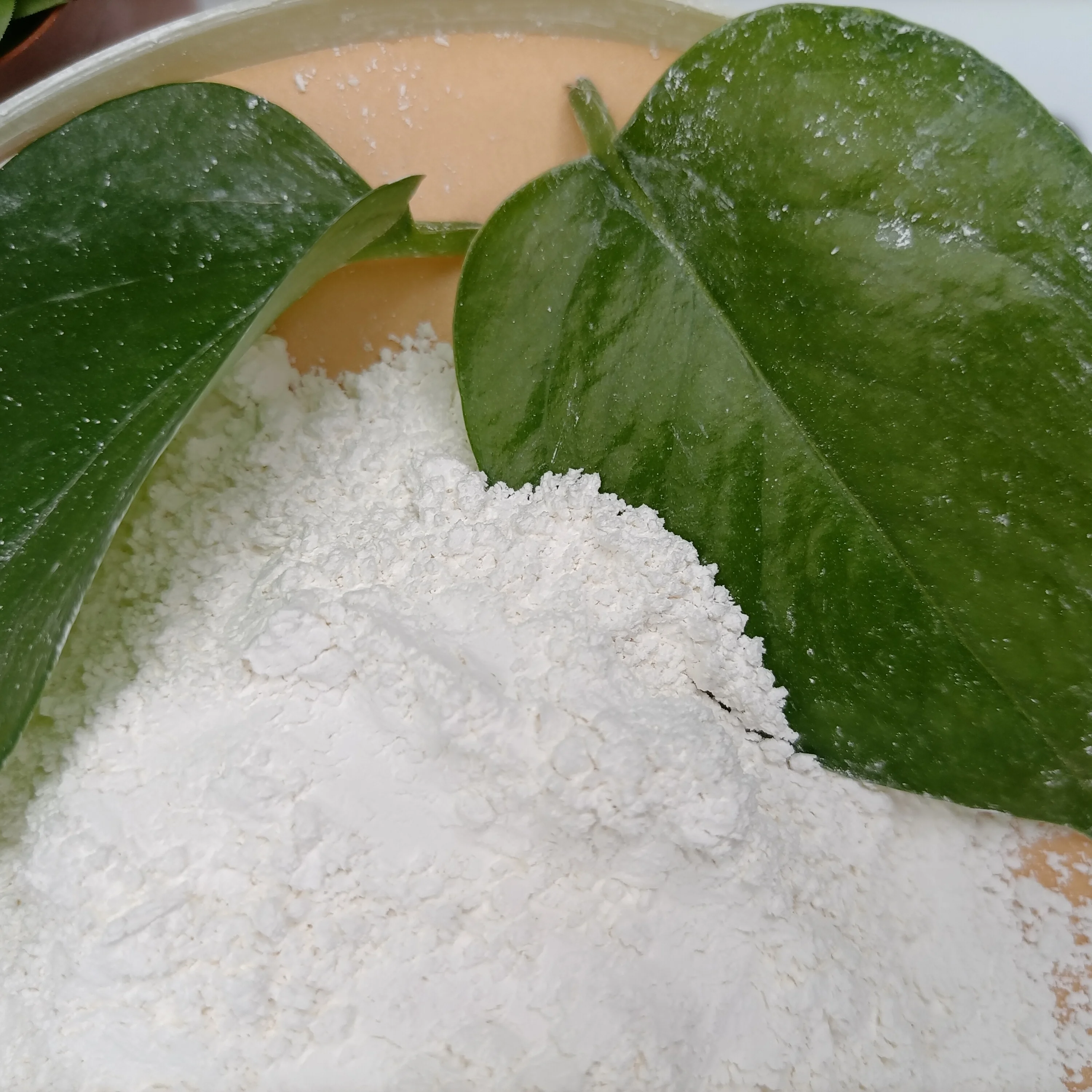 China shandong haiwang chemical  flame retardant DBDPO  flame retardants cas 1163-19-5 Chinese manufacturers