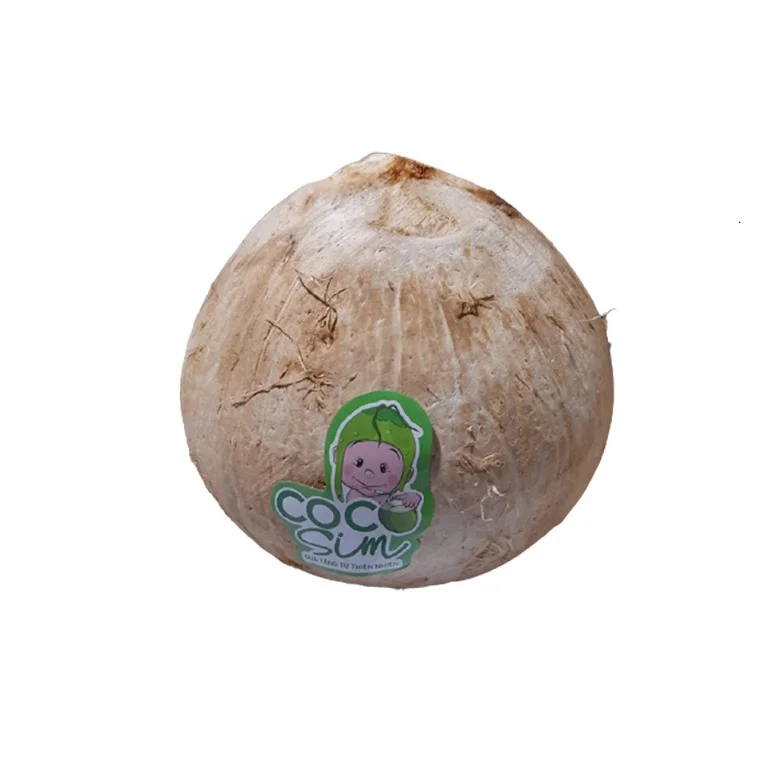
Most Reputable Company In Vietnam Wholesale Pure Natural Organic Fresh Coconut Products In Bulk Contact Now For Best Price 