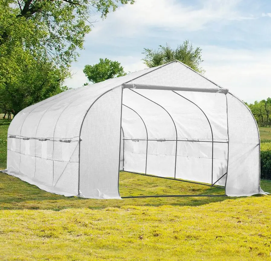 High Quality Tomato Seed For Greenhouse