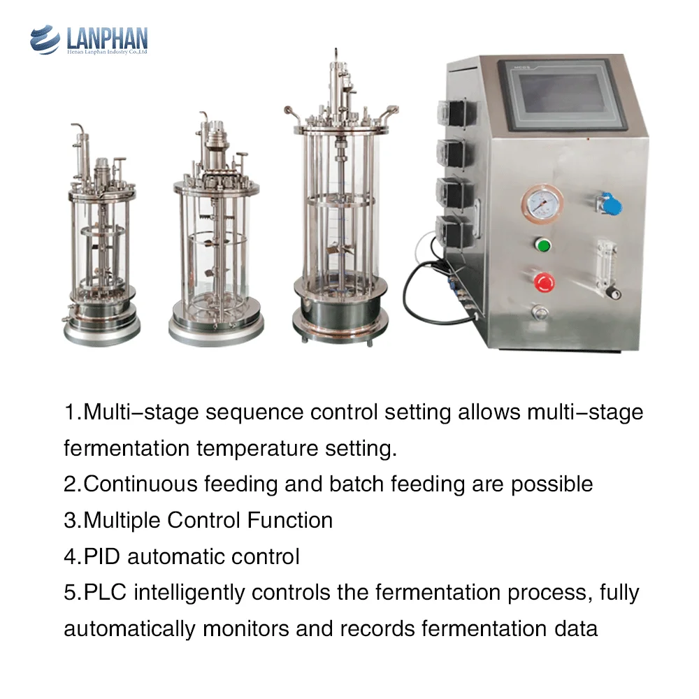 Laboratory small glass airlift bioreactor fermenter 3L 5L 10L bench top bioreactors