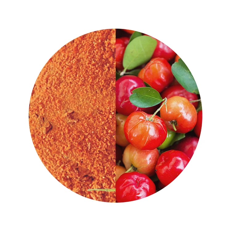 Pure Natural Acerola Fruit Extract Powder Vitamins And Herb Extract Dietary Supplements Powder