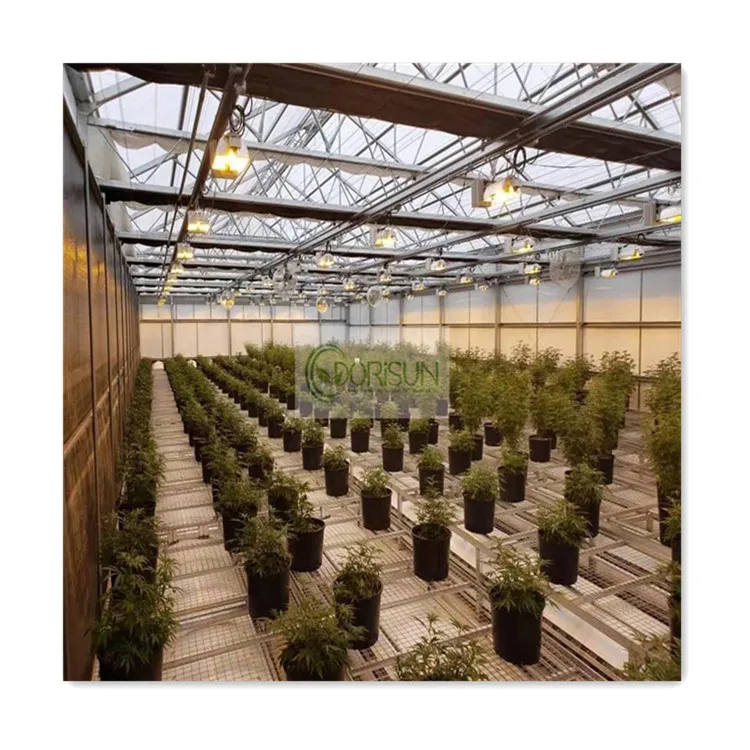 Top quality blackout curtain plastic film multi span light deprivation greenhouse