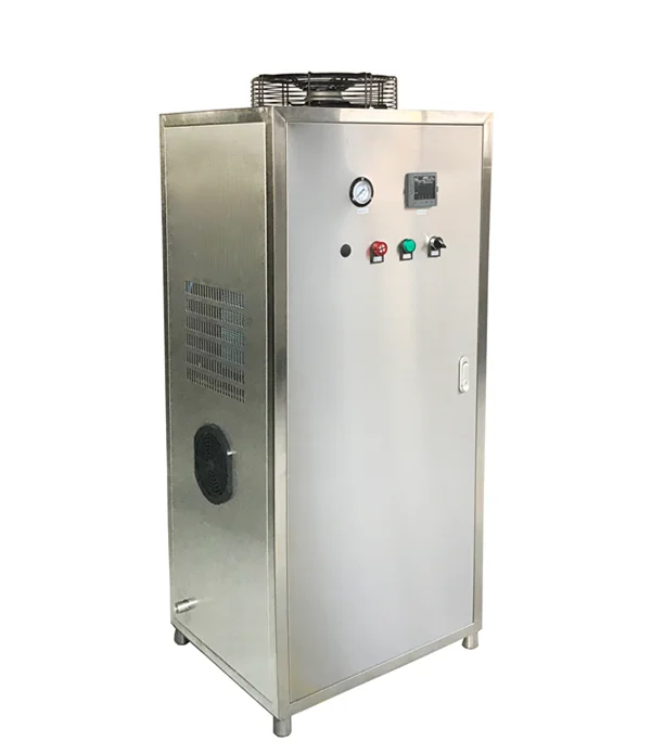 BNP DH-1500B DH-3000B DH-6000B DH-9000B series air compressor for ozone generator