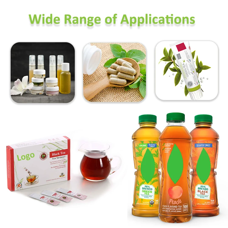 Free Sample Instant Hot or Iced Tea Green Tea Leaf Extract High in Polyphenols From ISO Factory