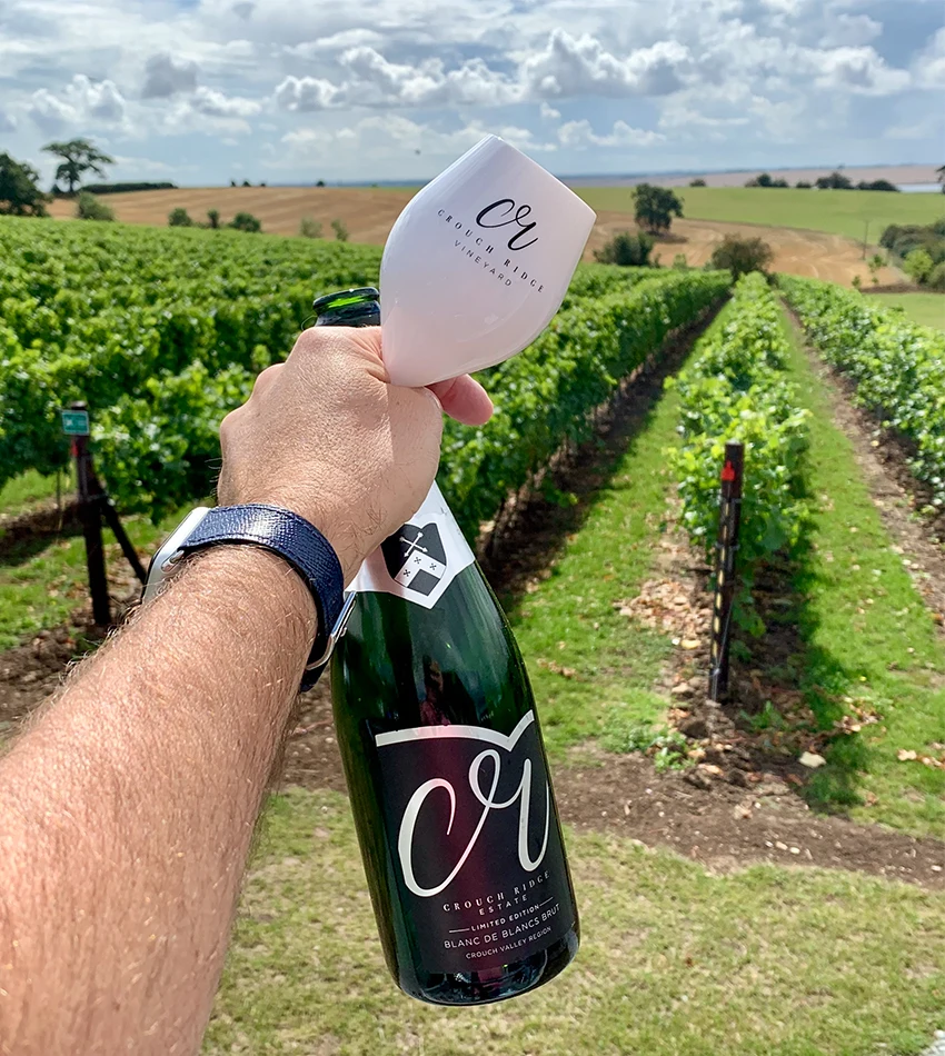 VGEET popular new long stem toasting wholesale personalized plastic champagne flutes