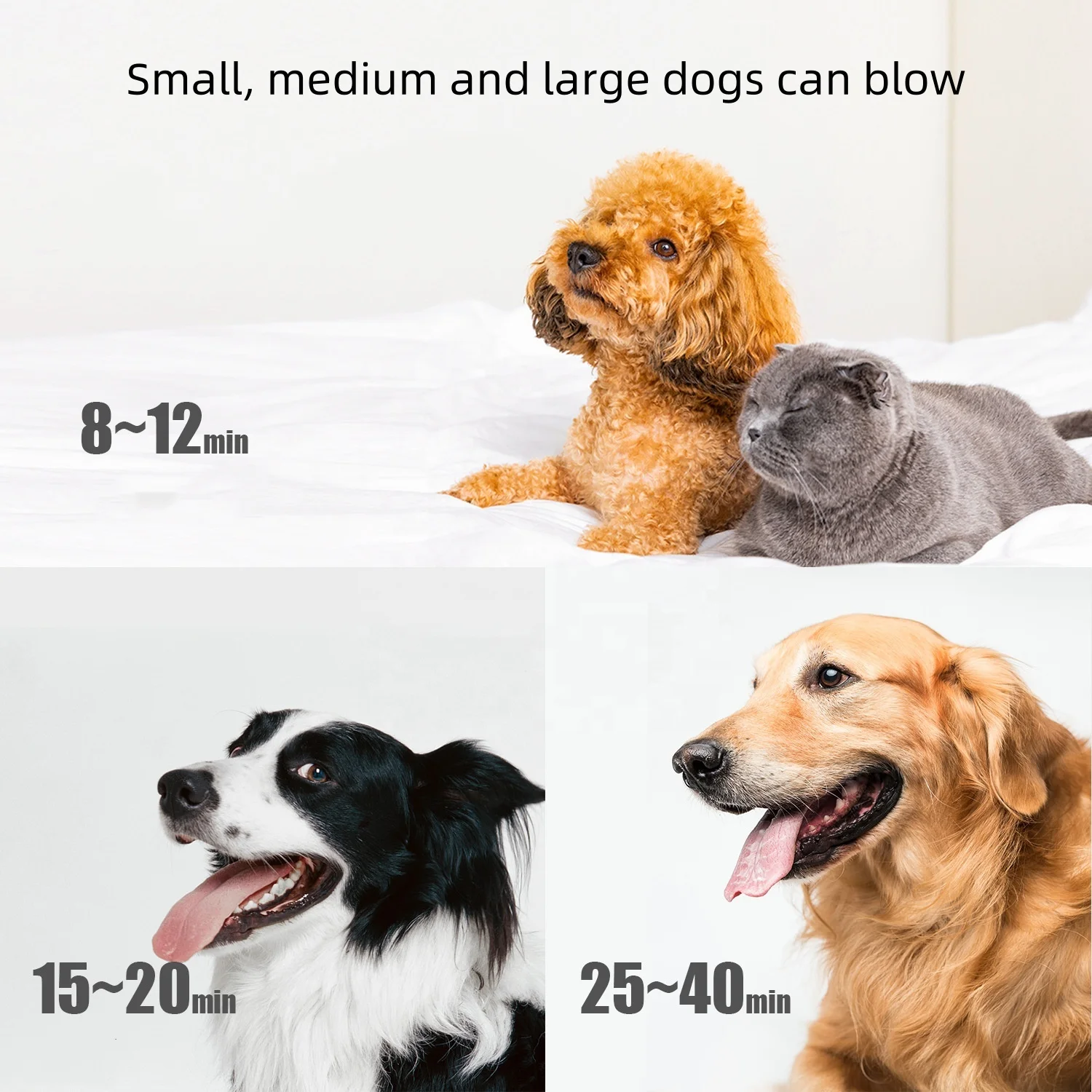 USMILEPET Factory Direct Dog Blow Dryer LED Display Low Noise Pet Dryer with 4 Nozzles High Velocity Pet Blow Dryer for Grooming