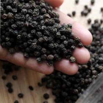 Good Black Pepper 100% Natural Processed in Vietnam From Phalco Brand