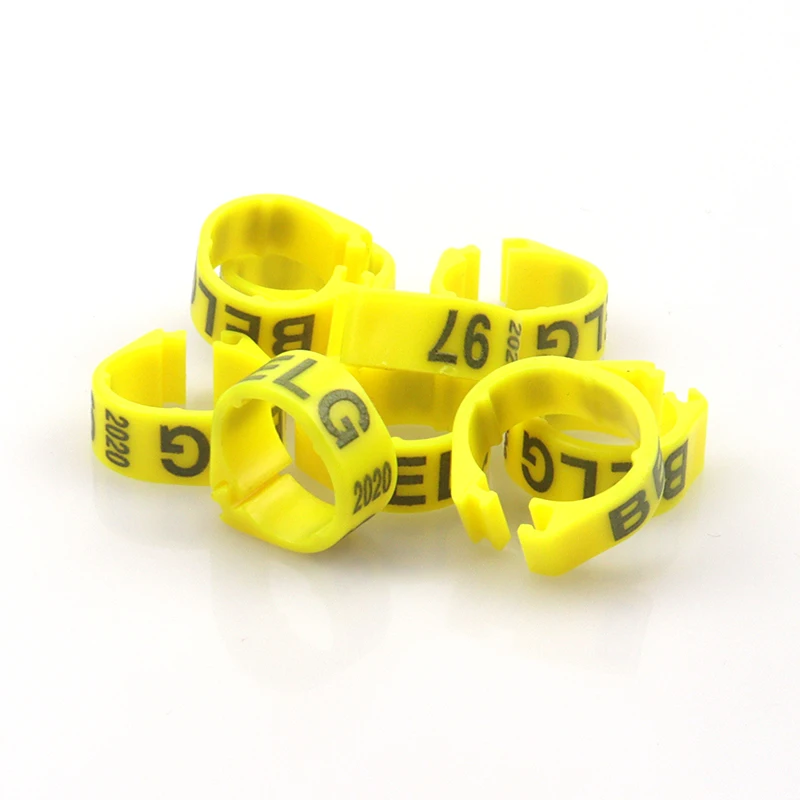 bague oiseau 2023 new custom bird leg band ring 100pcs plastic rings bird training 300pcs 1000pcs plastic ring for birds24 mm