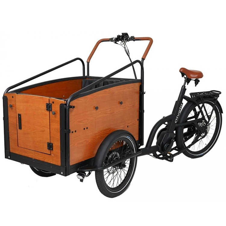 Luxury 48V 250W family electric cargo bike Nexus 7 speeds e bakfiets cargo bicycles bakfiets
