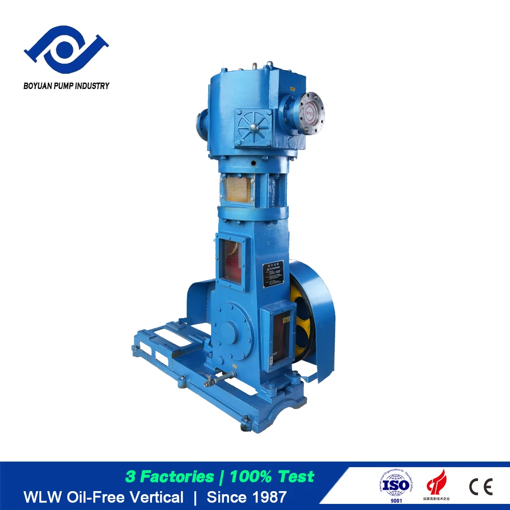 BOYUAN Manufacturer WLW Series WLW-50 High Pressure Oil Free Vertical Reciprocating Piston Vacuum Pump Electric Pumping