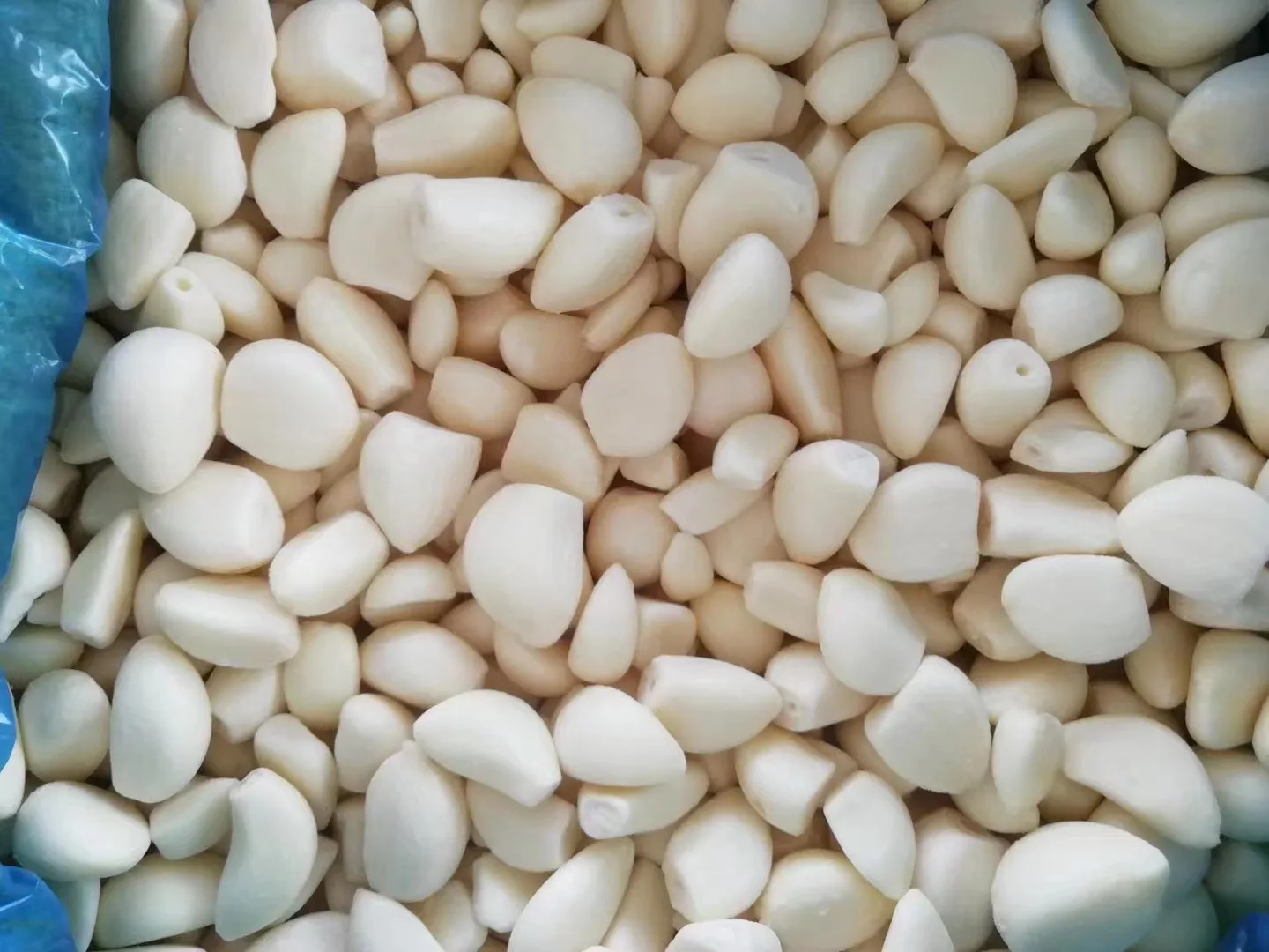 Selected Quality IQF Frozen garlic cloves of Garlic hometown proccesser with Halal/BRC/GAP/Kocher Approved Frozen garlic