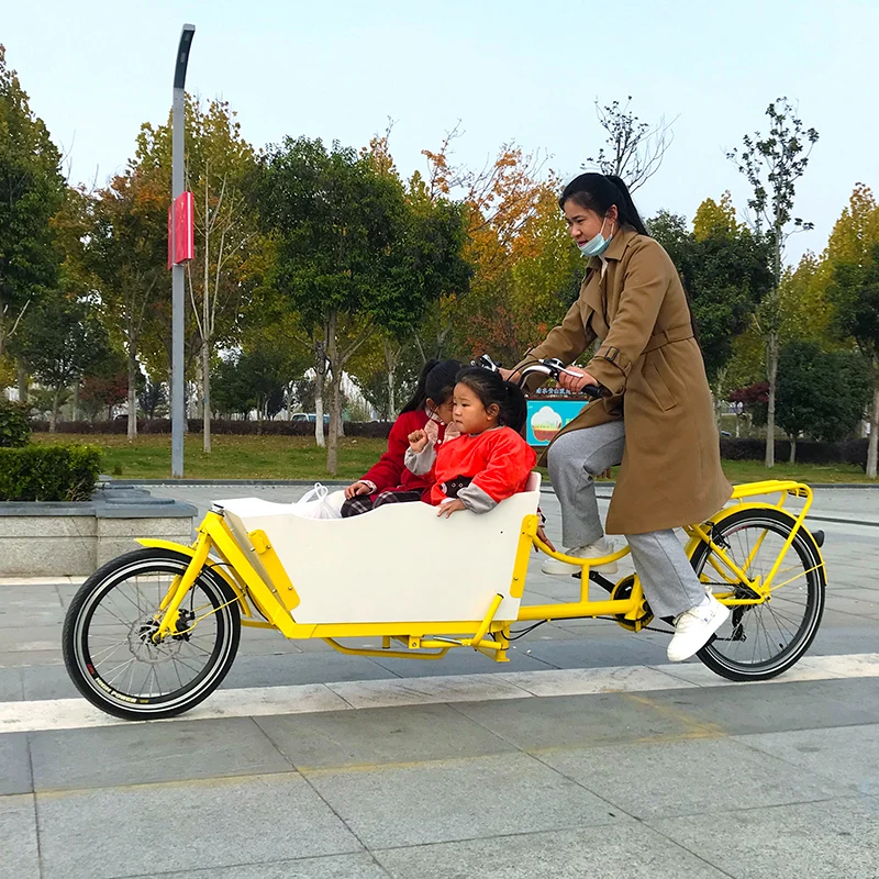 Chinese supplier 2 wheel cargo bike electric with 250W rear hub- motor for sale