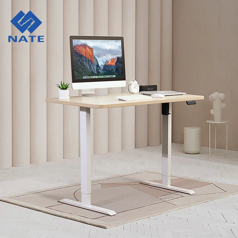 SRF2J-1.2M Electric Single Motor Sit To Stand Up Adjustable Computer Desk White Frame Height Adjustable Desk For Office Table