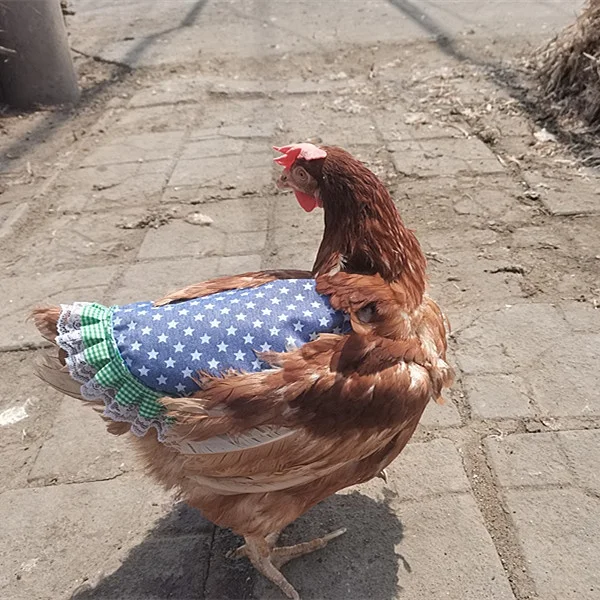 Pet Clothes Hen Apron Chicken Saddle Feather Fixed Clothes Back protection coat Double Chicken Apron