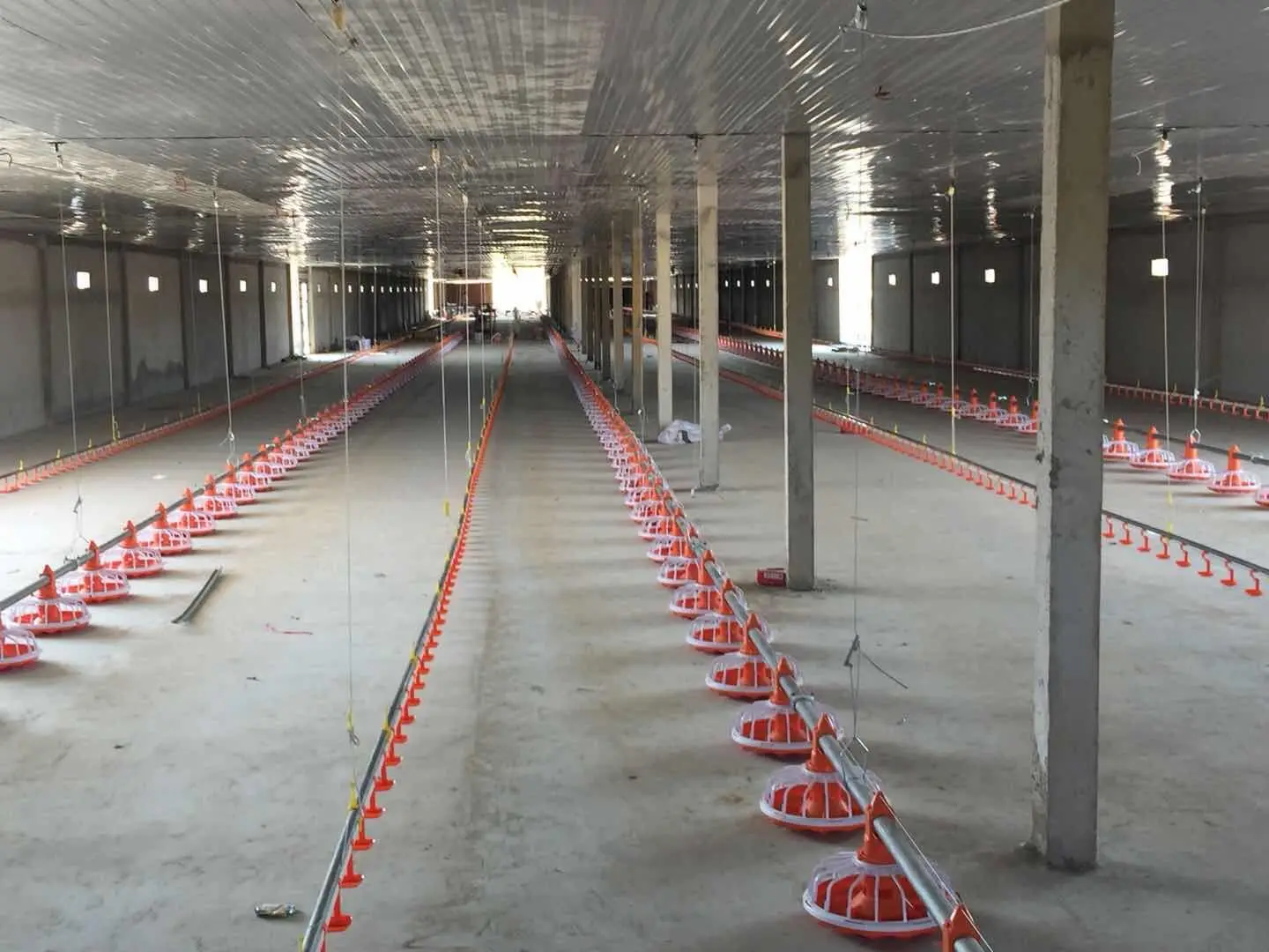 Complete Automatic Poultry Farm Equipment for Broiler /Breeder /Laying Hen