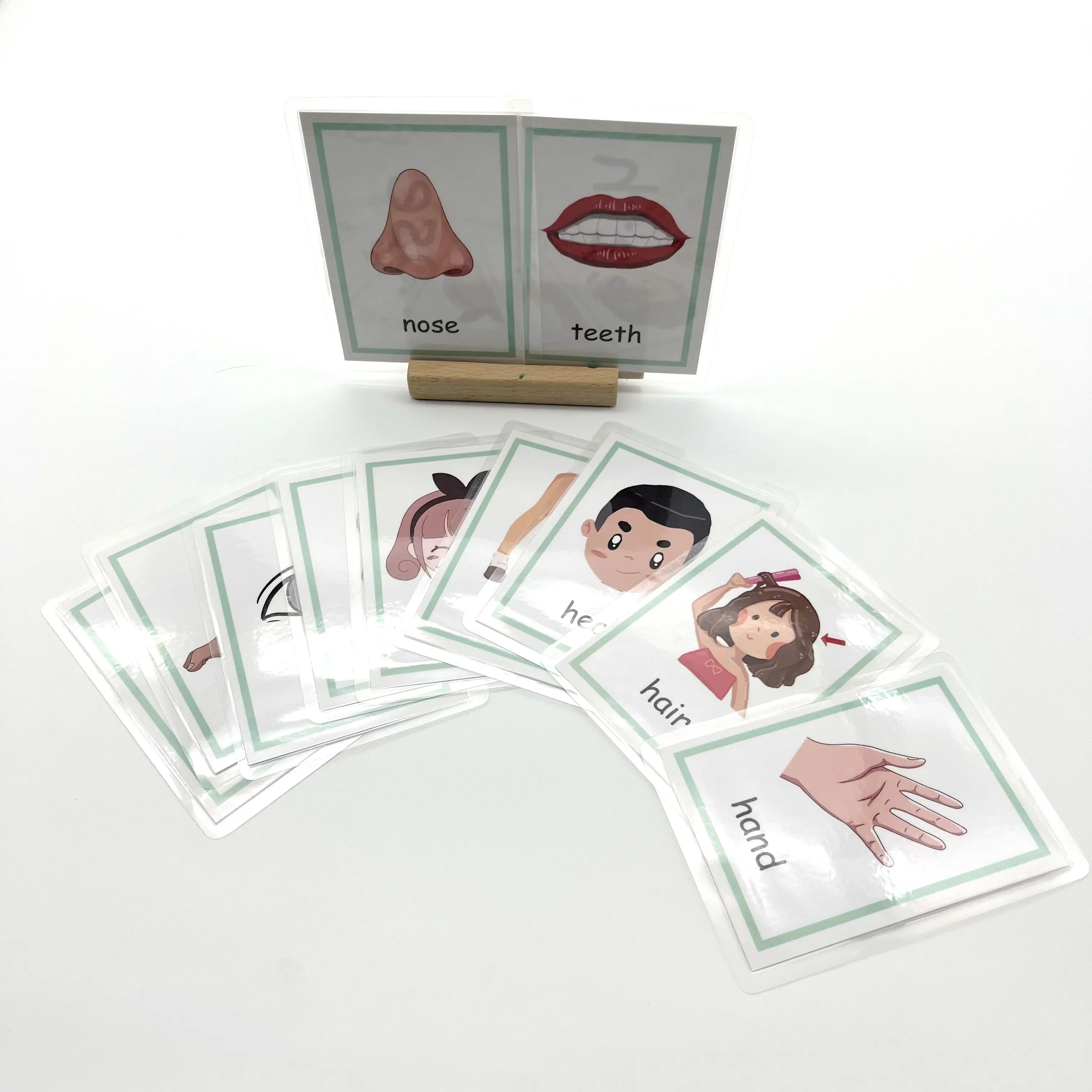 wholesale high quality OEM waterproof kids preschool English learning flash cards cognitive cards body parts fruits colors