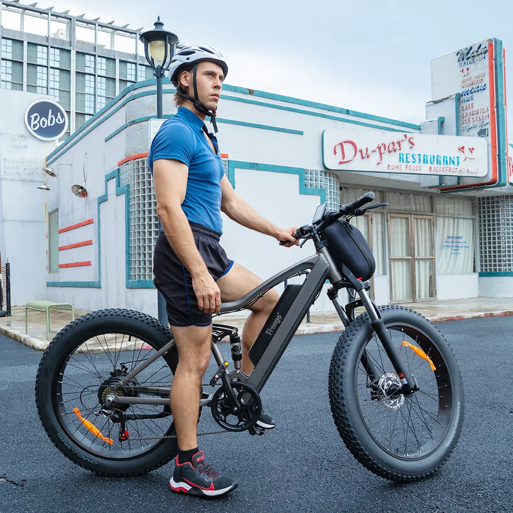 Non Folding E Bike 48V 1000W Brushless DC Hub Motor Electric Bike Bicycle