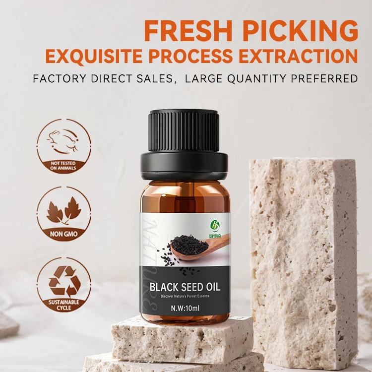Pure plant organic Black Seed Oil 10ml price Nigella Seed Oil Black Cumin Seed Oil free sample